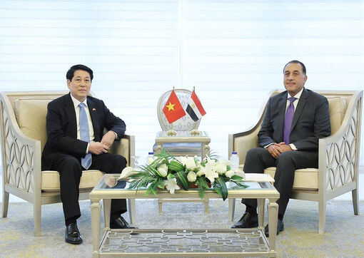 State President Luong Cuong meets with Egyptian Prime Minister Mostafa Madbouly