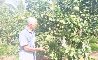 ភាព​ផ្លាស់​ថ្មី​នៅ​ភូមិ​ជន​បទ​ថ្មី​គំ​រូ​