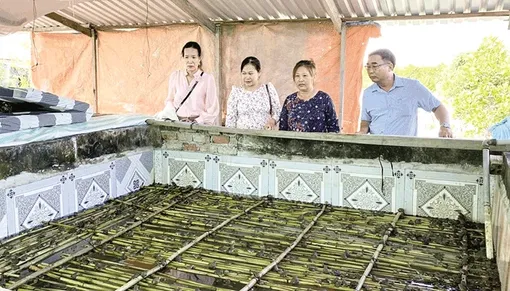 Năng động phát triển kinh tế gia đình Năng động phát triển kinh tế gia đình