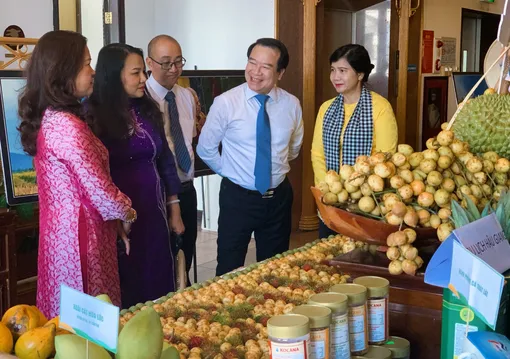 Cần Thơ xúc tiến, quảng bá du lịch tại Huế Cần Thơ xúc tiến, quảng bá du lịch tại Huế