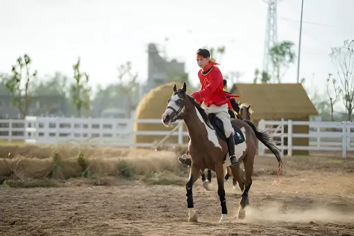 Hơn 100 chuyên gia hàng đầu dự Hội thảo ngành ngựa tại Học viện Cưỡi ngựa Vinpearl Vũ Yên Hơn 100 chuyên gia hàng đầu dự Hội thảo ngành ngựa tại Học viện Cưỡi ngựa Vinpearl Vũ Yên