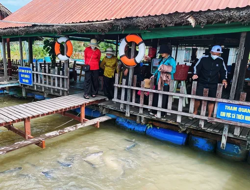 Du lịch xanh lên ngôi, mùa hè 2025 Du lịch xanh lên ngôi, mùa hè 2025