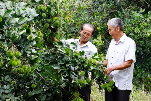 Năng động làm giàu Năng động làm giàu