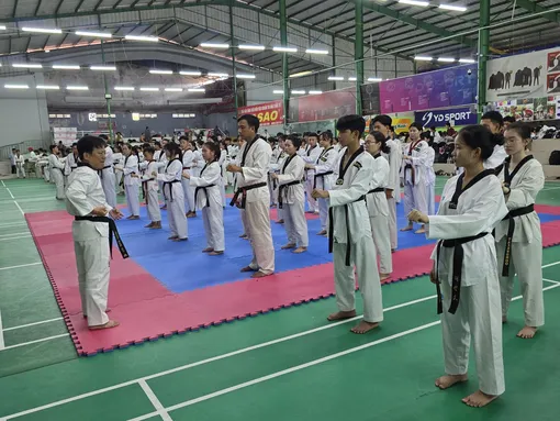 Tập huấn chuyên môn Taekwondo Tập huấn chuyên môn Taekwondo