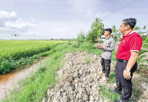 Tái khởi động bảo hiểm nông nghiệp theo chuỗi giá trị ngành hàng Tái khởi động bảo hiểm nông nghiệp theo chuỗi giá trị ngành hàng