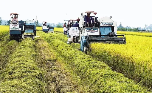 Nâng cao năng lực của hợp tác xã trong thực hiện Ðề án 1 triệu héc-ta lúa Nâng cao năng lực của hợp tác xã trong thực hiện Ðề án 1 triệu héc-ta lúa