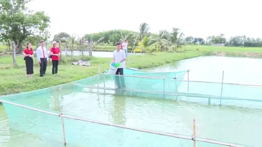 Agribank Chi nhánh Bắc Long An (Tây Ninh): <br>Đồng hành phát triển kinh tế vùng biên giới Agribank Chi nhánh Bắc Long An (Tây Ninh): <br>Đồng hành phát triển kinh tế vùng biên giới