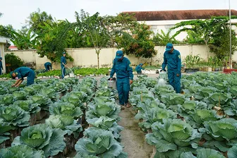 Ngành Hậu cần Quân khu 9 làm theo lời Bác Hồ dạy Ngành Hậu cần Quân khu 9 làm theo lời Bác Hồ dạy
