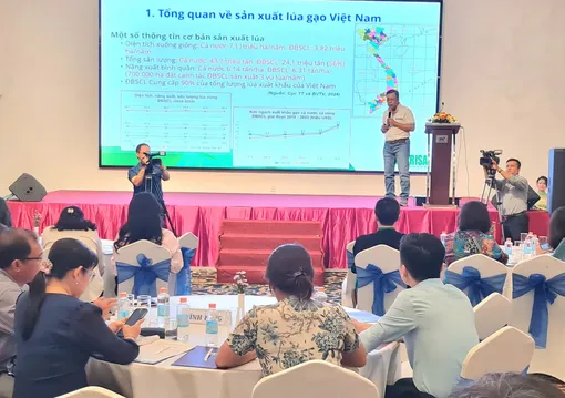 Chia sẻ kinh nghiệm thực hiện “Mô hình sản xuất lúa chất lượng cao giảm phát thải phục vụ Đề án phát triển bền vững một triệu héc-ta vùng ĐBSCL” Chia sẻ kinh nghiệm thực hiện “Mô hình sản xuất lúa chất lượng cao giảm phát thải phục vụ Đề án phát triển bền vững một triệu héc-ta vùng ĐBSCL”