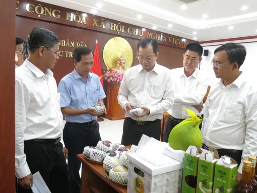 Đảm bảo tiêu chuẩn chất lượng trái vú sữa phục vụ thị trường xuất khẩu Đảm bảo tiêu chuẩn chất lượng trái vú sữa phục vụ thị trường xuất khẩu