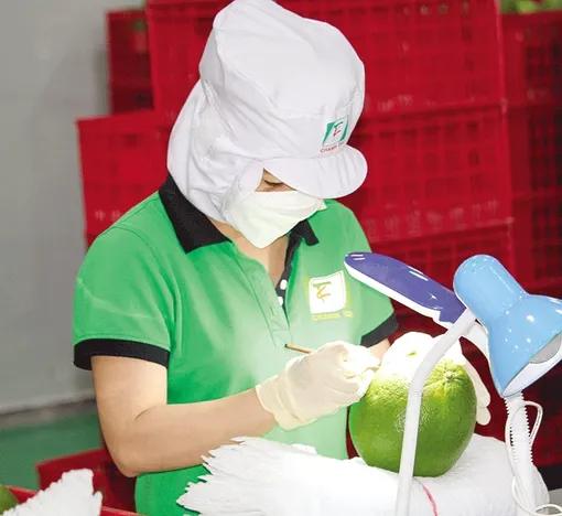 Hoa Kỳ - thị trường rộng lớn nhưng không dễ “chen chân” Hoa Kỳ - thị trường rộng lớn nhưng không dễ “chen chân”