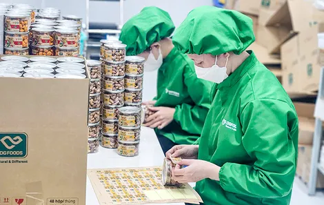 TP Cần Thơ hỗ trợ đăng ký bảo hộ và phát triển tài sản trí tuệ