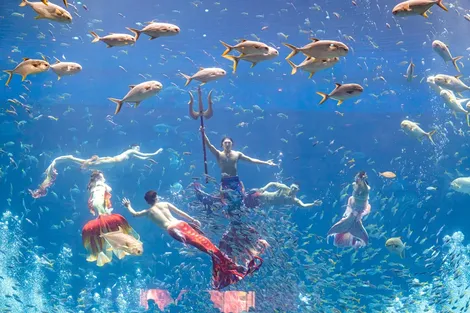 Trọn bộ trải nghiệm độc nhất biến Phú Quốc trở thành điểm đến nhất định phải thử mùa hè này Trọn bộ trải nghiệm độc nhất biến Phú Quốc trở thành điểm đến nhất định phải thử mùa hè này