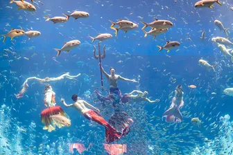 Trọn bộ trải nghiệm độc nhất biến Phú Quốc trở thành điểm đến nhất định phải thử mùa hè này Trọn bộ trải nghiệm độc nhất biến Phú Quốc trở thành điểm đến nhất định phải thử mùa hè này