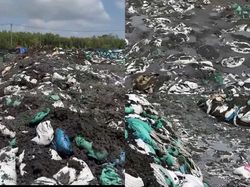 Phát hiện công ty sản xuất đất sạch tiếp nhận chất thải công nghiệp gây ô nhiễm môi trường Phát hiện công ty sản xuất đất sạch tiếp nhận chất thải công nghiệp gây ô nhiễm môi trường