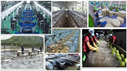 Kinh tế tư nhân là một động lực quan trọng nhất - Quan điểm đúng đắn, sáng tạo của Đảng ta Kinh tế tư nhân là một động lực quan trọng nhất - Quan điểm đúng đắn, sáng tạo của Đảng ta