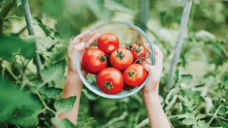 5 thực phẩm tưởng có hại nhưng lại tốt cho người bị viêm khớp