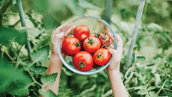 5 thực phẩm tưởng có hại nhưng lại tốt cho người bị viêm khớp 5 thực phẩm tưởng có hại nhưng lại tốt cho người bị viêm khớp