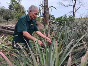 Người thương binh làm kinh tế giỏi Người thương binh làm kinh tế giỏi