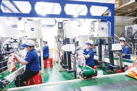 Khai thác hiệu quả và nuôi dưỡng nguồn thu