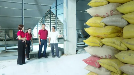 Nguồn vốn Agribank - Động lực cho nông hộ tái cơ cấu sản xuất nông nghiệp