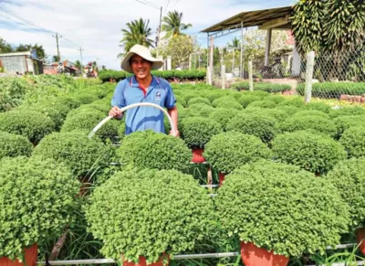 Tất bật vụ hoa kiểng Tết