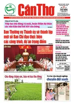 SỐ 31 (Thứ năm, ngày 31/7/2025) SỐ 31 (Thứ năm, ngày 31/7/2025)