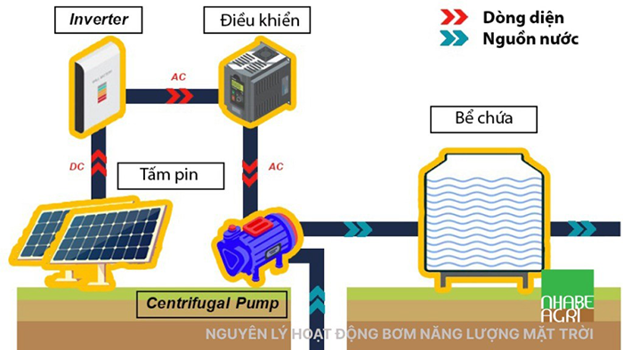 Cách ứng dụng bơm năng lượng mặt trời trong nuôi trồng thủy sản hiệu quả Cách ứng dụng bơm năng lượng mặt trời trong nuôi trồng thủy sản hiệu quả