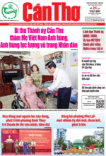 SỐ 26 (Thứ Bảy, ngày 26/7/2025) SỐ 26 (Thứ Bảy, ngày 26/7/2025)