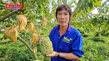 Thu nhập cao từ Na “khổng lồ” Thu nhập cao từ Na “khổng lồ”